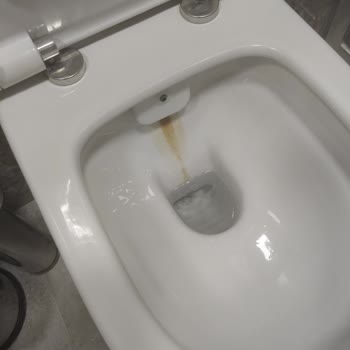 Crown Rezidans Belek'te Temizlik Sorunları Ve Kaba Yaklaşım Nedeniyle Mağduriyet