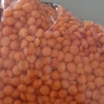 Aldığım Kırmızı Mercimekte Böcek Çıktı, Sağlığımız Tehlikede!