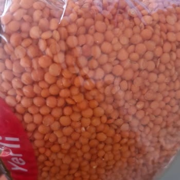 Aldığım Kırmızı Mercimekte Böcek Çıktı, Sağlığımız Tehlikede!