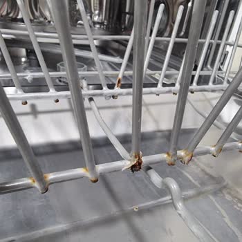 Teka Bulaşık Makinesi Sepetinde Erken Paslanma Ve Yüksek Değişim Ücreti