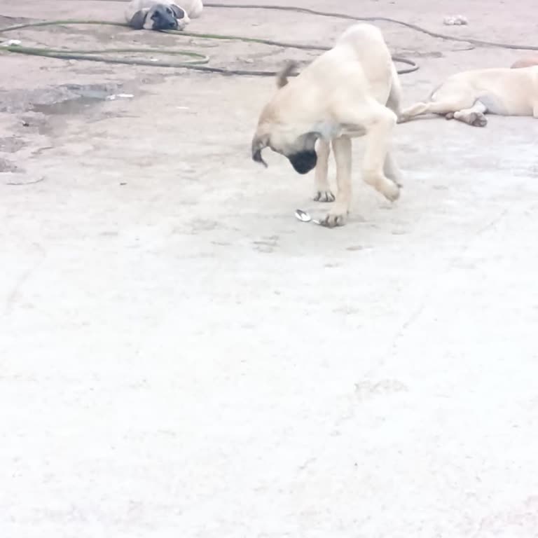 Aşhan Yemek Yemekhanede Hijyen Eksikliği İşçilerin Sağlığını Tehdit Ediyor