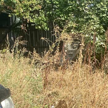 Güvenli Olmayan Otel Çevresi Nedeniyle İptal Edilen Rezervasyonda Ücret İadesi Yapılmadı