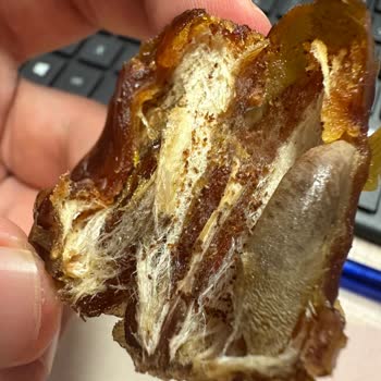 File Market'ten Aldığım Hurmada Böcek Ve Kurt Çıktı, Sağlık Riski Yaşadım