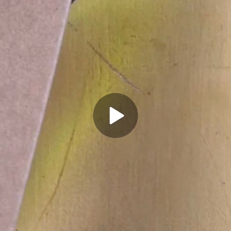 Zara Online Alışverişte Eksik Paketleme Ve Geciken İade Süreci