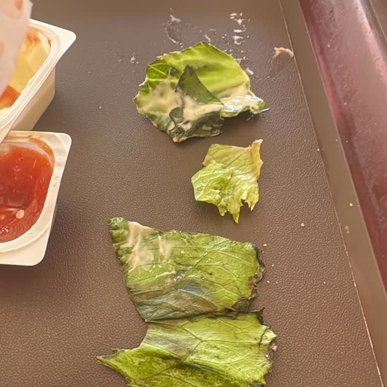 Burger King'den Aldığım Hamburgerde Taze Olmayan Marullar