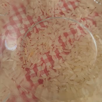 Aldığım Pirinç Kurtlu Çıktı, İade Talebim Reddedildi