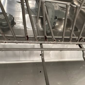 Franke Bulaşık Makinesi Sepetinde Kronik Çürüme Sorunu Ve Ücretsiz Değişim Talebi
