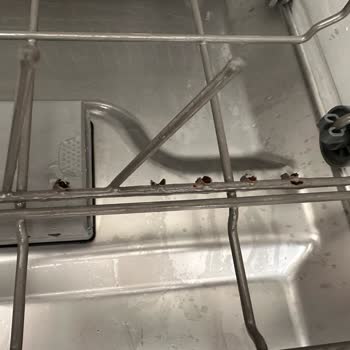 Franke Bulaşık Makinesi Sepetinde Kronik Çürüme Sorunu Ve Ücretsiz Değişim Talebi