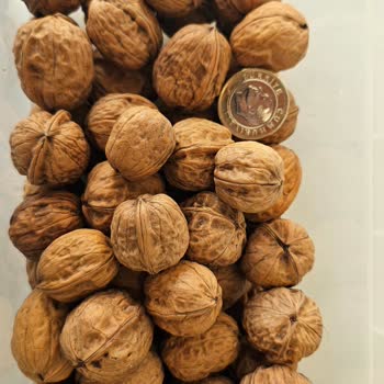 Yanlış Ve Kusurlu Ürün Gönderimiyle Yaşanan Hayal Kırıklığı