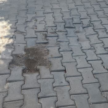 6 Aydır Onarılmayan Yol Mağduriyeti