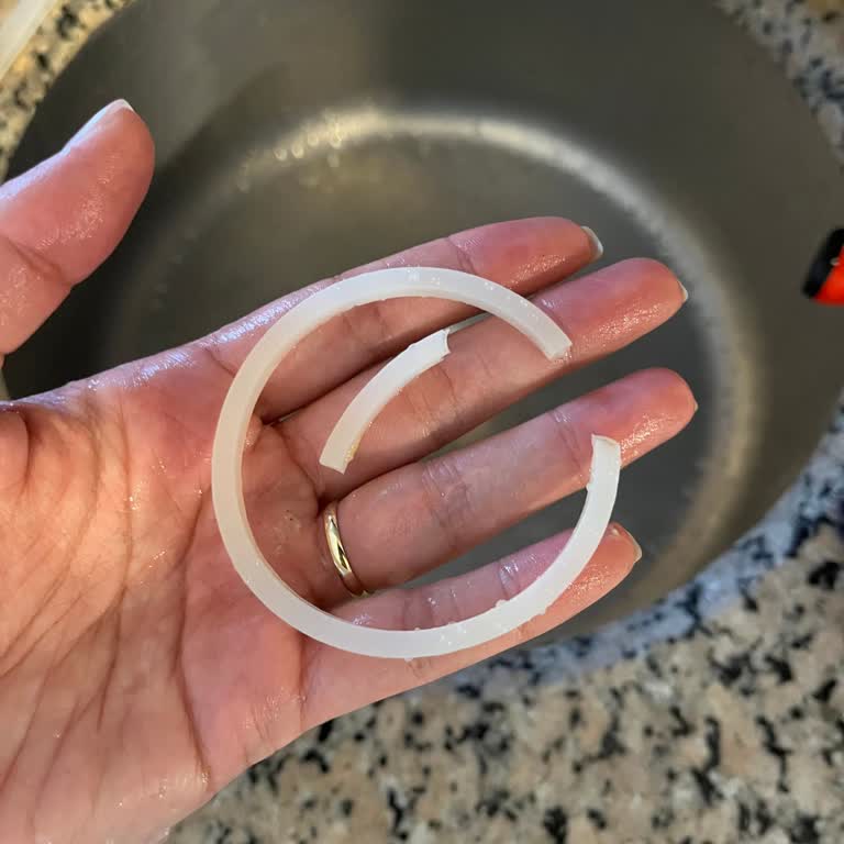 Az Kullanımla Blenderın Silikon Parçaları Bozuldu