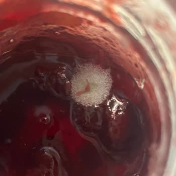 Aldığım Vişne Reçeli Kısa Sürede Küflendi Firma Ve Marketten Dönüş Alamadım