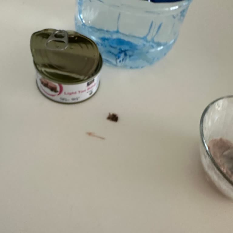 Aro Ton Balığında Yüzgeç Ve Kılçık Şoku: Hijyen Ve Sağlık Riski