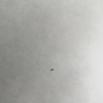 Bellona’dan Aldığım Tüm Mobilyalar Hasarlı Geldi, 6 Aydır Mağduriyetim Giderilmiyor