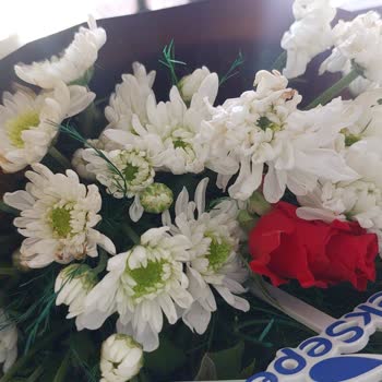 Hediye Çiçekler Solmuş Ve Çürük Ulaştı, İade Çözümü Yetersiz Kaldı