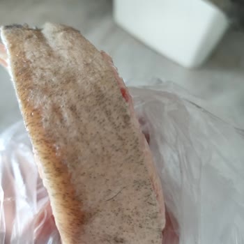 Migros Sanal Marketten Alınan Paça Ürününde Hijyen Sorunu Ve Müşteri Hizmetleri Yetersizliği