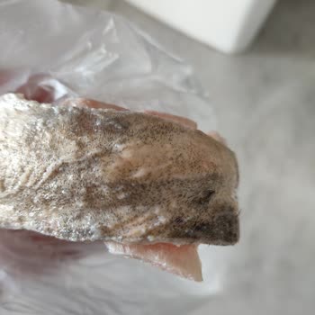 Migros Sanal Marketten Alınan Paça Ürününde Hijyen Sorunu Ve Müşteri Hizmetleri Yetersizliği