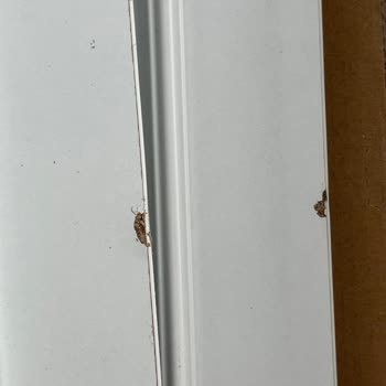 Koçtaş'tan Aldığım Gardırop Hasarlı Geldi, İade Ve Müşteri Hizmetleri Süreci Mağduriyet Yarattı