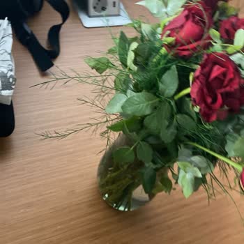 Sipariş Edilen Çiçek Beklentileri Karşılamadı, Ücret İadesi Talep Ediyorum