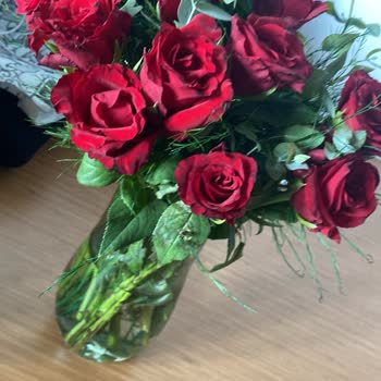 Sipariş Edilen Çiçek Beklentileri Karşılamadı, Ücret İadesi Talep Ediyorum