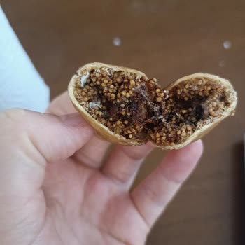 A101'den Alınan Çerezya Kuru İncir Küflü Ve Bozuk Çıktı