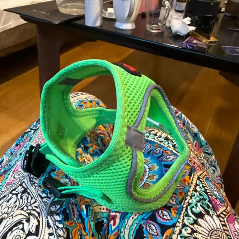 Köpek Tıraşı Ve Yanlış Beden Tasma Sorunuma Çözüm Sunulmadı