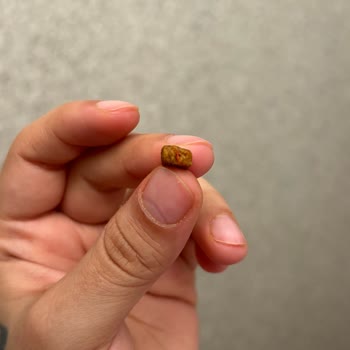 Purina Pro Plan+7 comida para gatos, encontré plástico en el producto