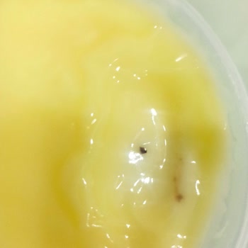 Satın Alınan Tatlıda Şüpheli Tanecikler Ve Açıklama Talebi