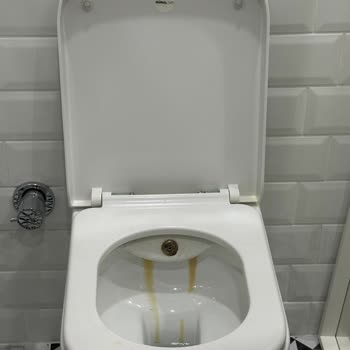 Güral Klozet Ve Lavaboda Garanti Süresinde Sararma Ve Çatlama Sorunu