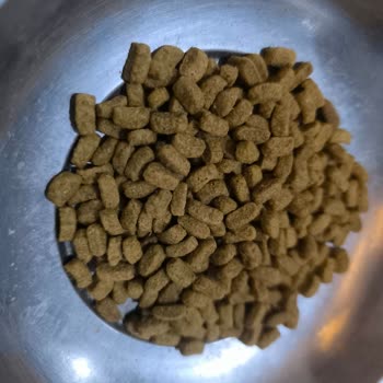 Sospechas de producto falso, croquetas Pro Plan Purina no devueltas