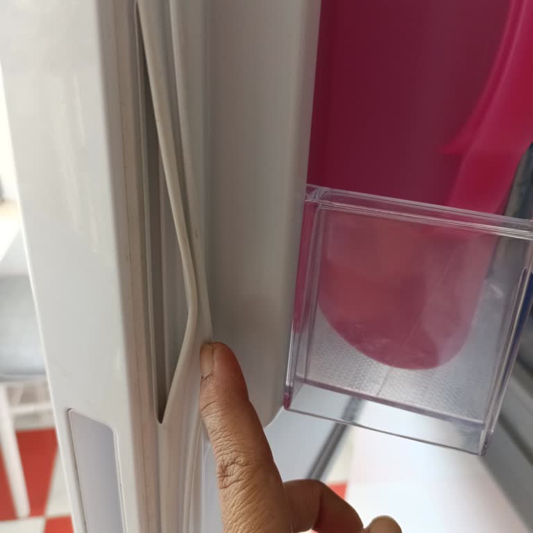 Electrolux 22354560 Puli UK 482 E Refrigerator Door Seal Torn, Service Gave No Solution