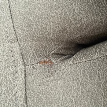 Aldığım Koltuk Takımında Kısa Sürede Renk Solması Ve Dikişlerde Yırtılma Yaşadım