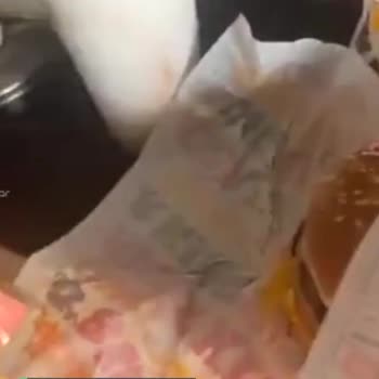 Burger King Dikkatsiz Çalışan