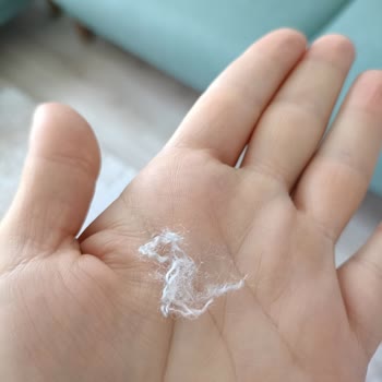 Garanti Kapsamında Halımın Sorunları Giderilmiyor, Mağdur Ediliyorum