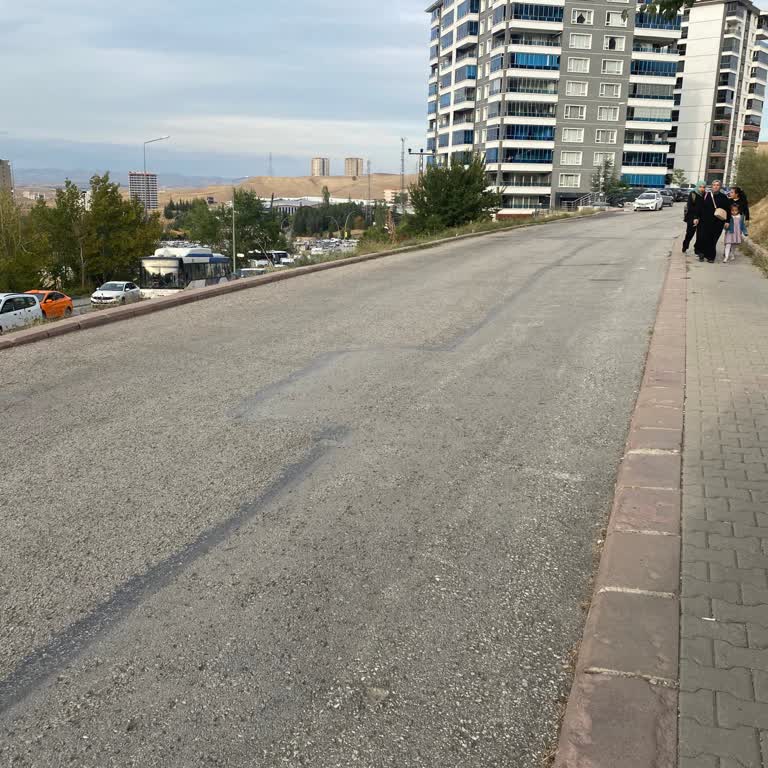 Saldırgan Köpekler Nedeniyle Mahallede Güvensiz Sabahlar