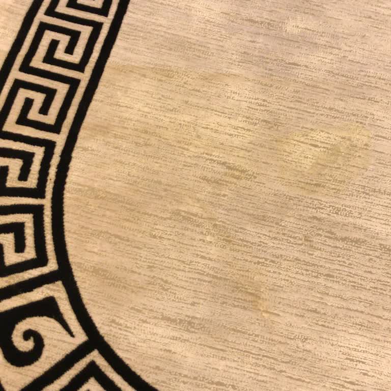 Prenses Halı Yıkama Bursa Halılarımı Kullanılmaz Hale Getirdi