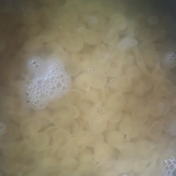 Barilla Makarnada Böcek Şoku Ve İade Talebi