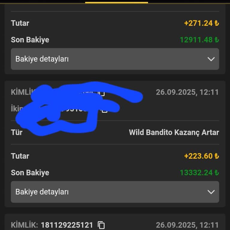 Pashagaming Bakiyemin Sıfırlandığını Ve Hesabıma Erişemediğimi Gördüm