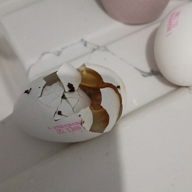 A101'den Aldığım Yumurtaların Tamamı Bozuk Çıktı, Para İadesi İstiyorum