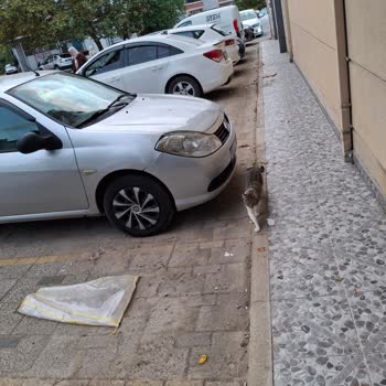 Marketin Dışarıda Teşhir Ettiği Ürünler Bina Önünde Sürekli Temizlik Sorununa Yol Açıyor