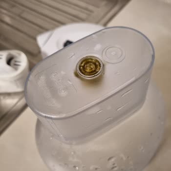 Brita Filtreli Sürahi İç Haznesinde Yosun Oluştu