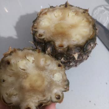 Getir Market'ten Bozuk Ürün Ve Ücret İadesi Yapılmıyor