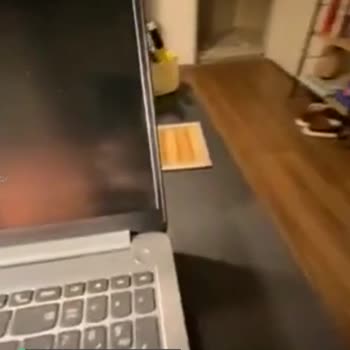 Lenovo Menteşe Sorunu, Düşük Kalite
