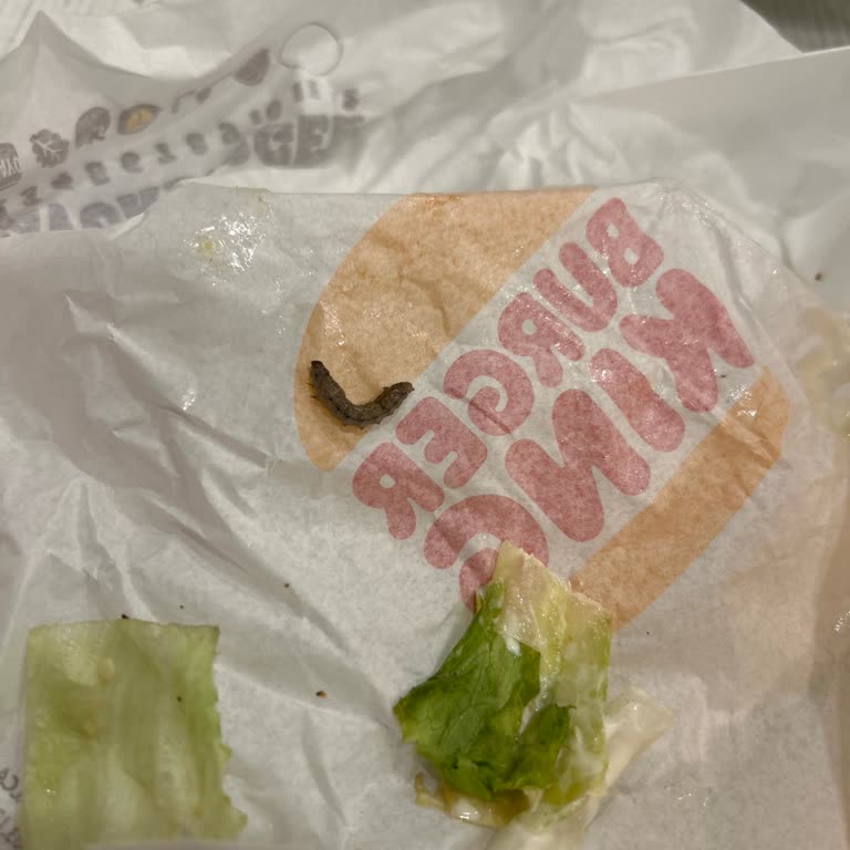 Burger King Siparişimde Solucan Çıkması Ve Yetersiz Müşteri Desteği