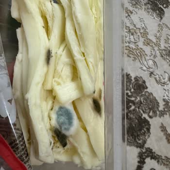 Son Kullanma Tarihi Geçmemiş Peynirde Küf Ve Koku Şoku!