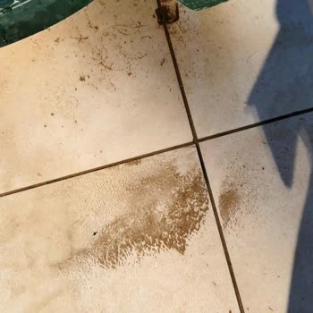 Swandor Hotels Kemer’de Ciddi Hijyen Sorunları Ve İlgisiz Müşteri Hizmeti