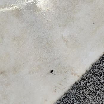 Swandor Hotels Kemer’de Ciddi Hijyen Sorunları Ve İlgisiz Müşteri Hizmeti