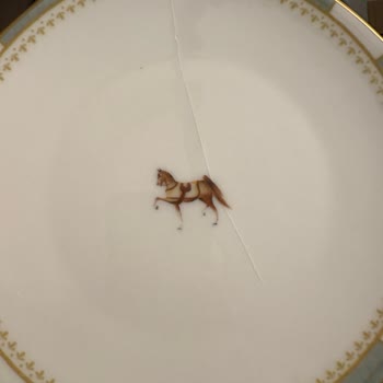 Kırık Tabak İçin Tüm Yemek Takımını İade Etmem İstendi