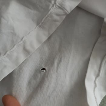 Bosch Çamaşır Makinesi Çamaşırları Yırtıyor Çözüm Sağlanmıyor