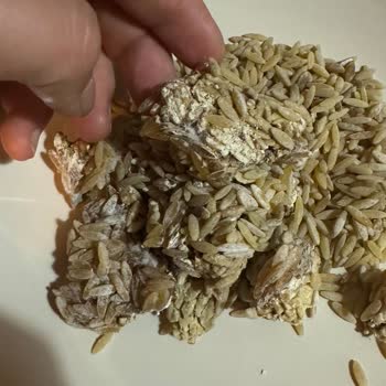 Nuh'un Ankara Makarnası Küflü Arpa Şehriye: Sağlık Riski Ve Müşteri Hizmetlerinde İlgisizlik